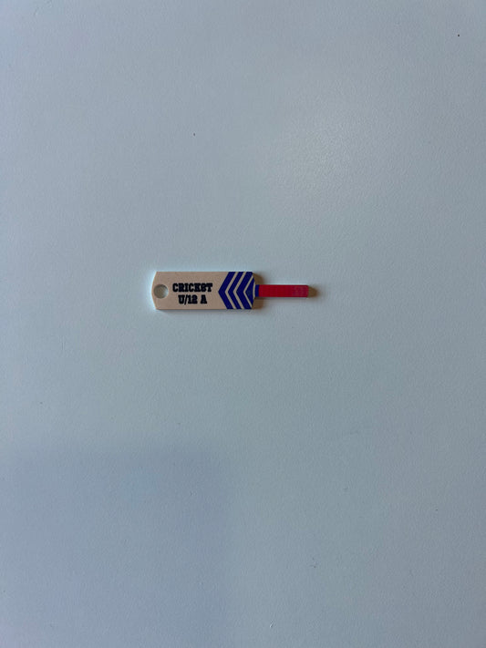 Cricket Bat Keyring