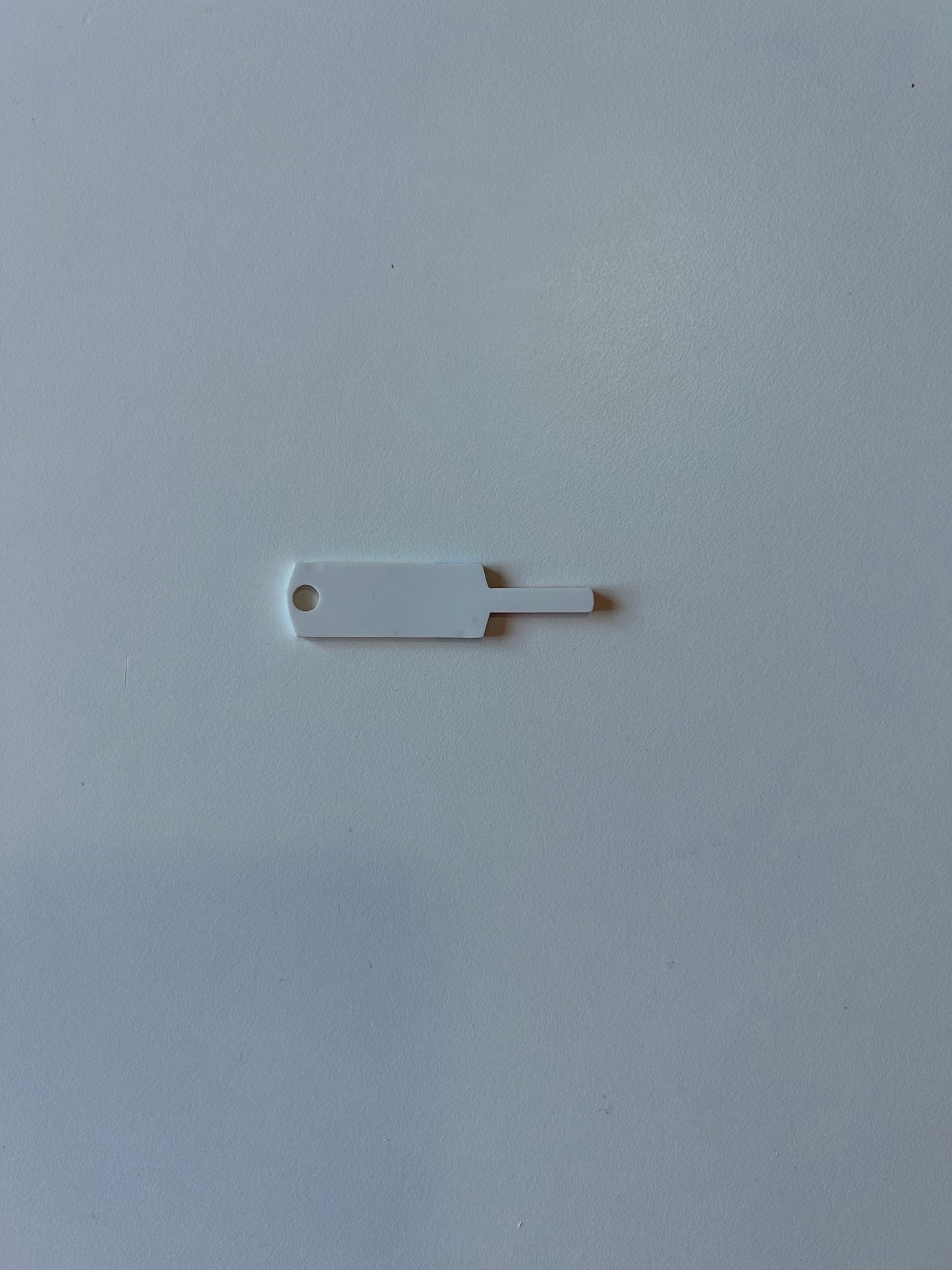 Cricket Bat Keyring