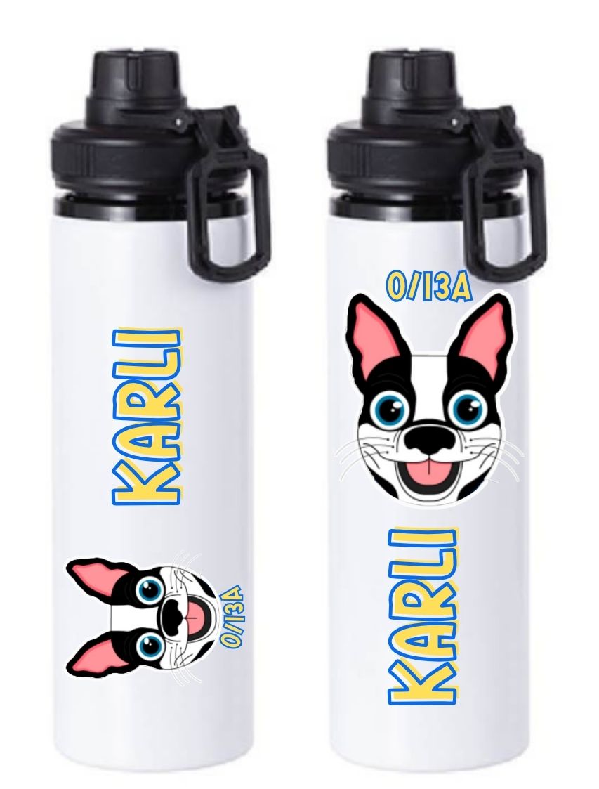 Aluminium Water Bottle 850ml (Branded with your design)